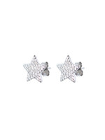 Star Earrings Medium Silver