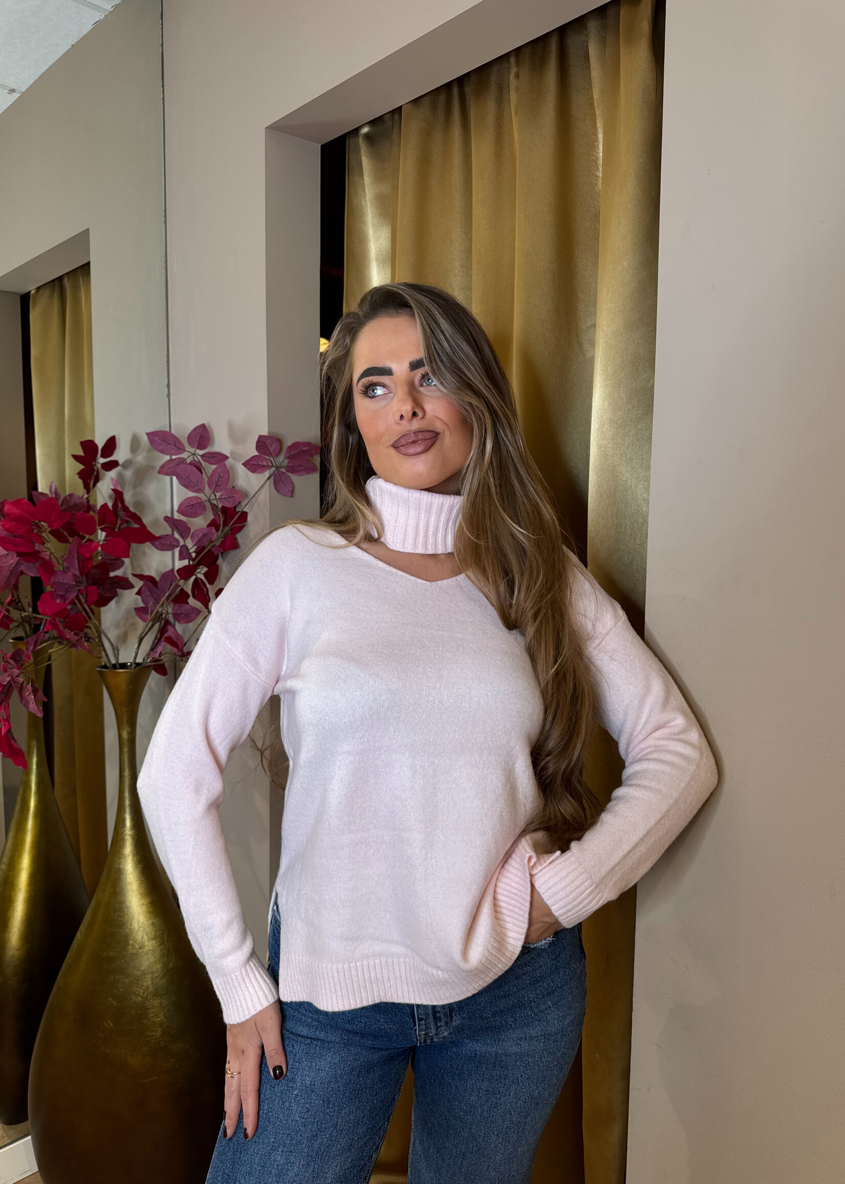 Col V-hals Trui Roze | Sissy