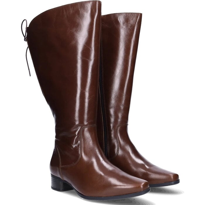 Cardiff Cardiff - Cognac