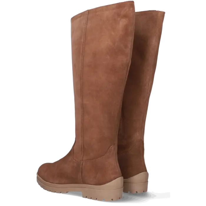 Bideford Bideford - Cognac