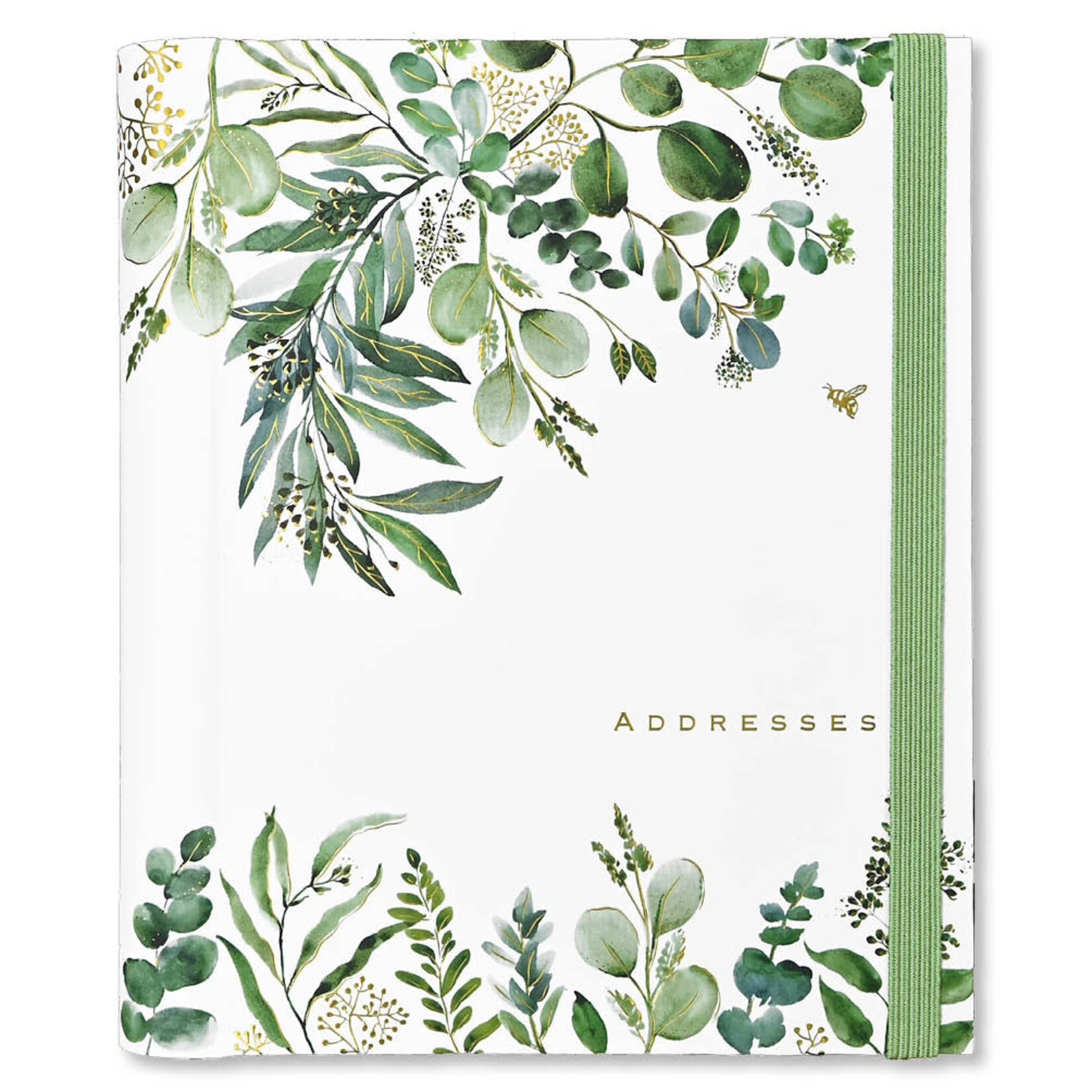 Addressbook Large  Peter Pauper Eucalyptus