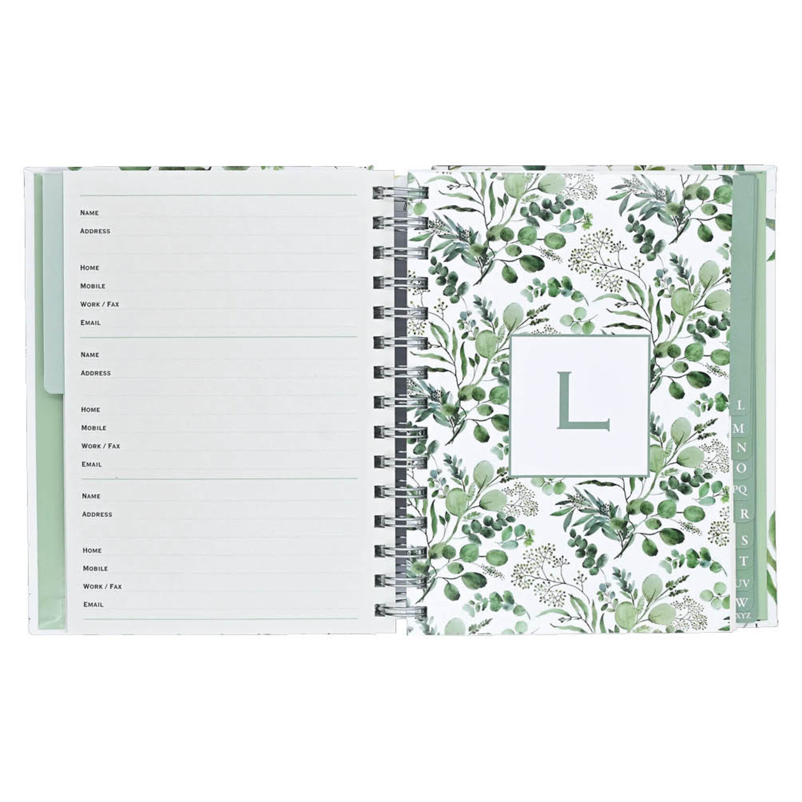 Addressbook Large  Peter Pauper Eucalyptus