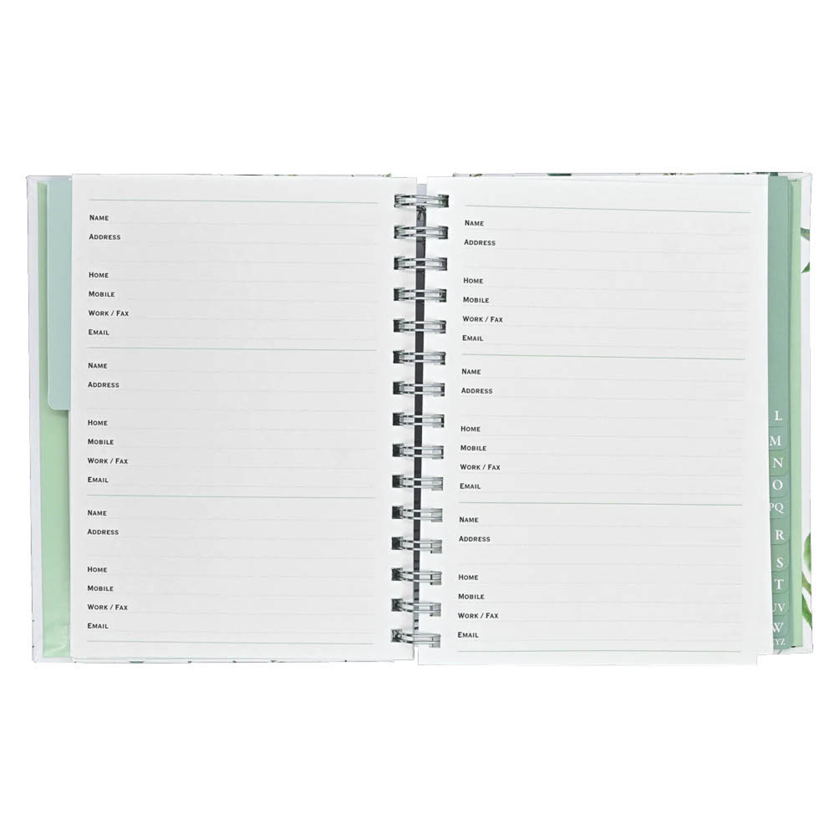 Addressbook Large  Peter Pauper Eucalyptus