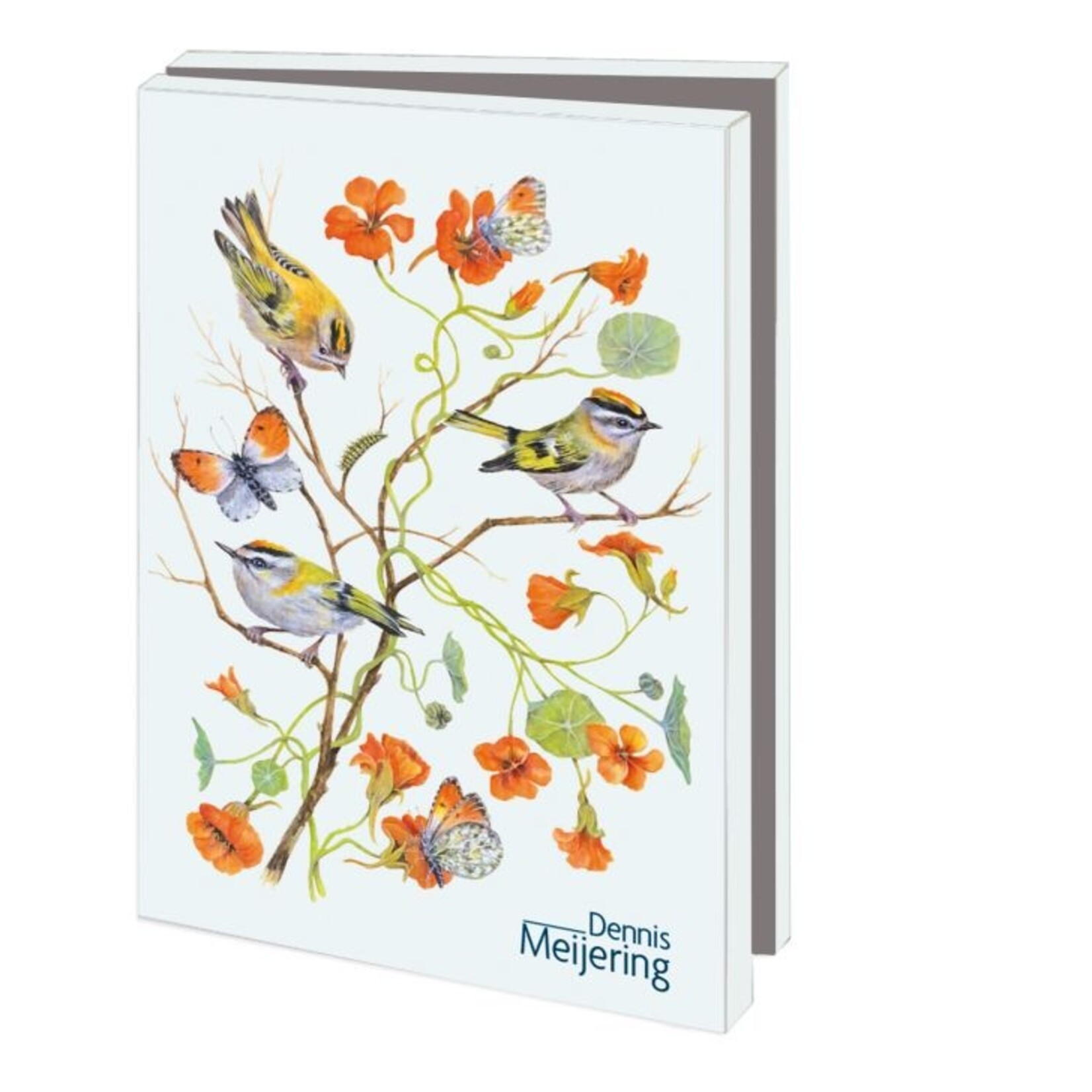 Kaartenmapje met env, klein: Birds & Flowers, Dennis Meijering