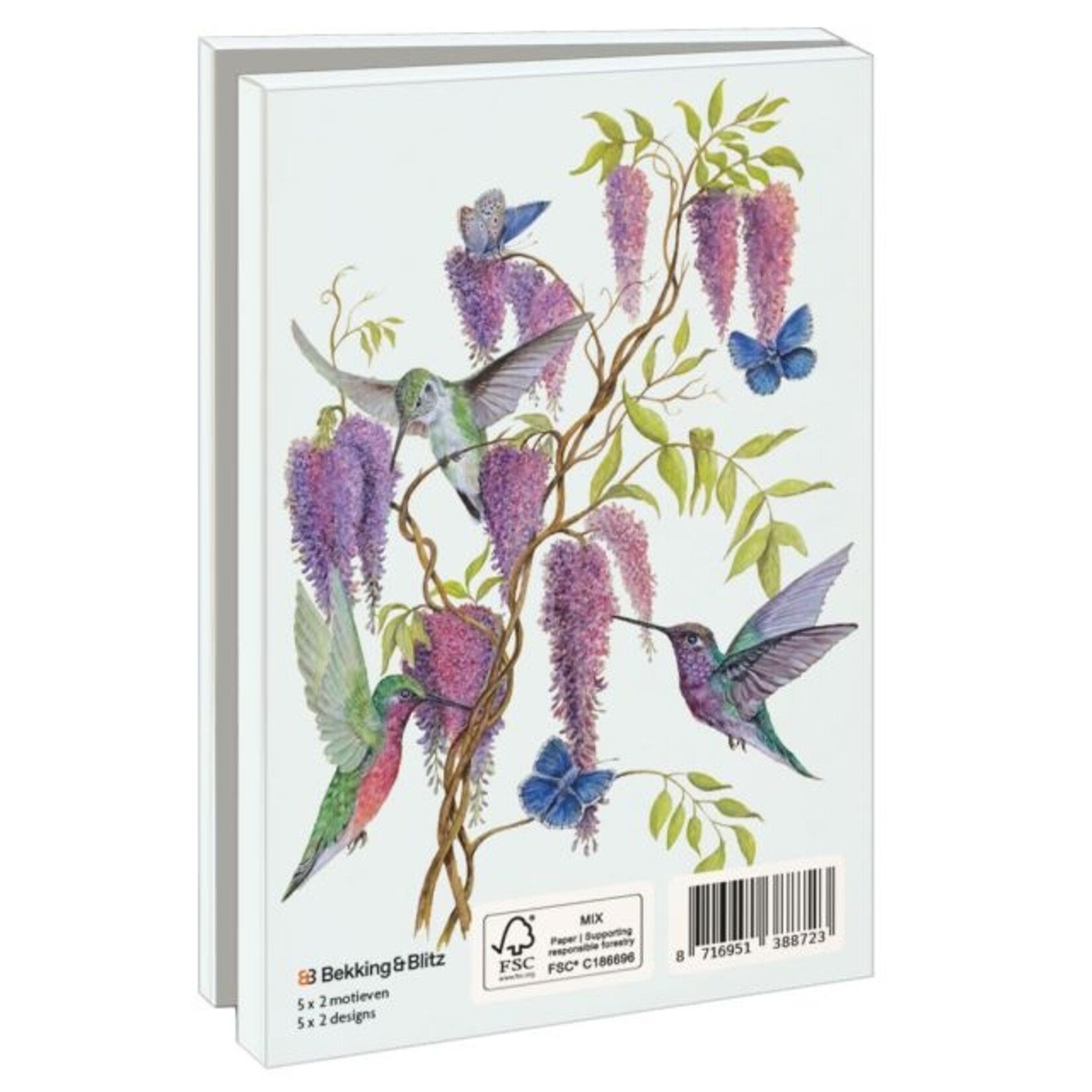 Kaartenmapje met env, klein: Birds & Flowers, Dennis Meijering