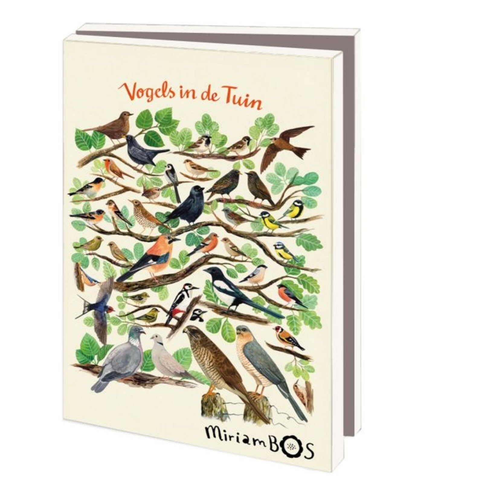Kaartenmapje met env, klein: Vogels in de tuin, Miriam Bos FSC claim: FSC Mix 70%