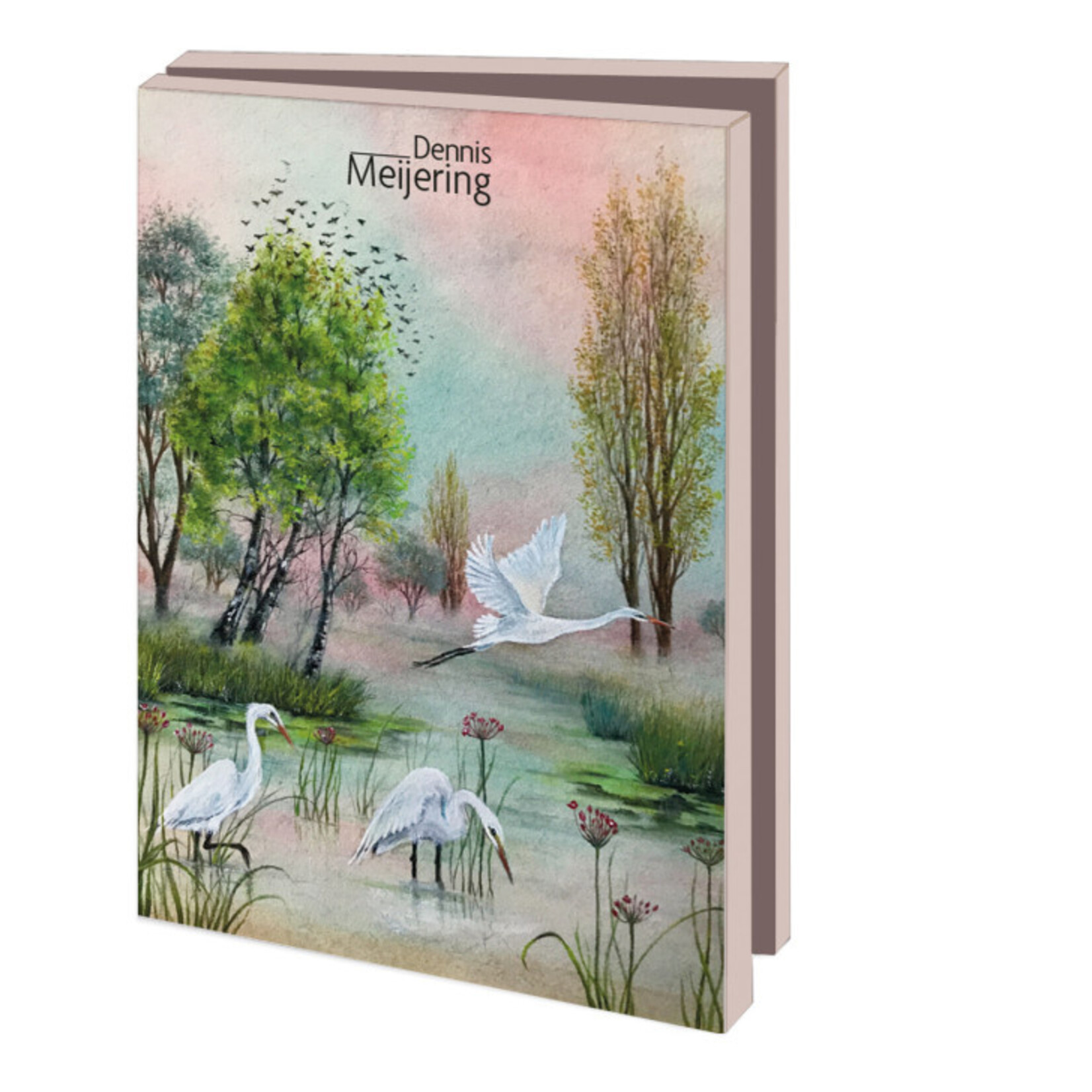 Kaartenmapje met env, klein: Vogels, Dennis Meijering