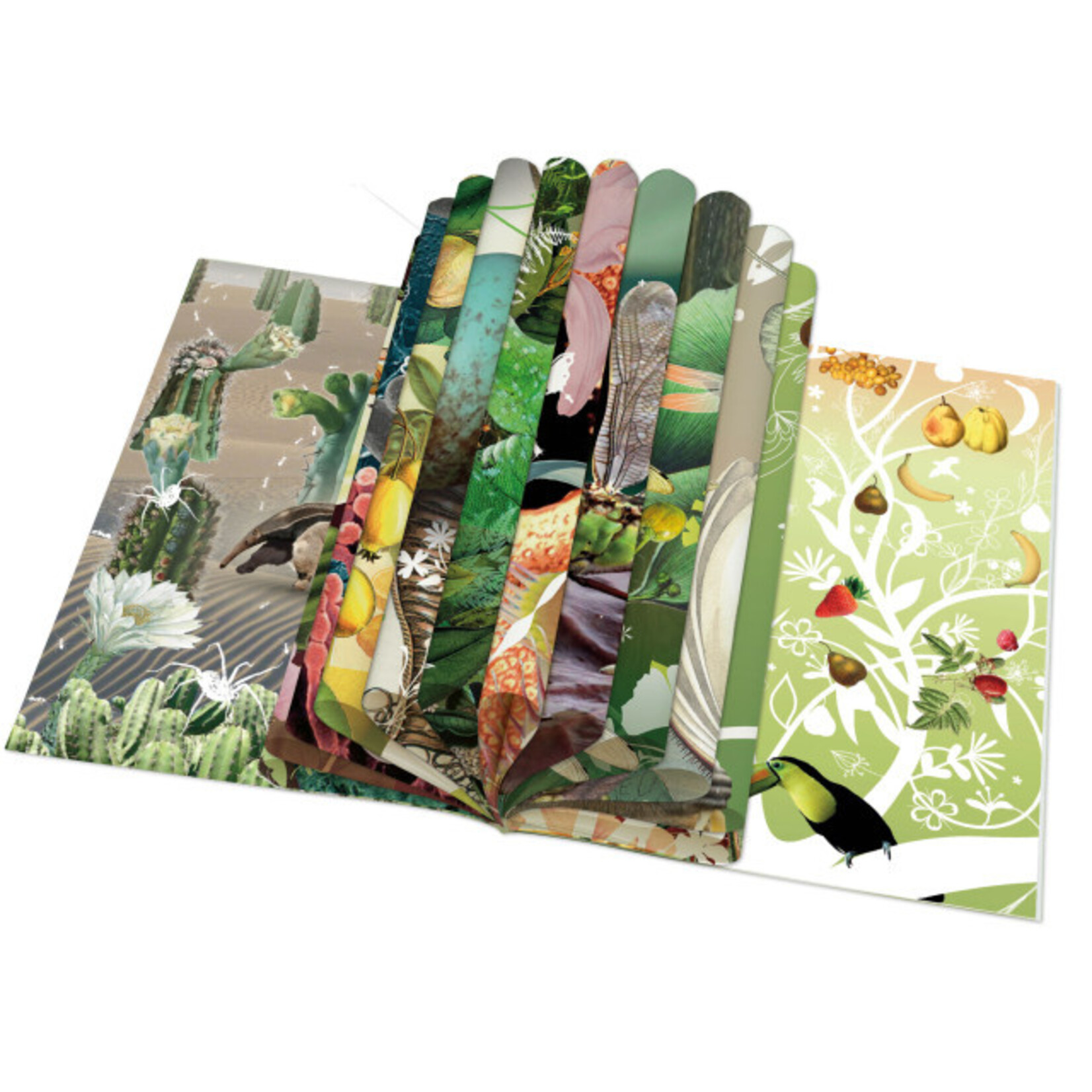 Cadeaupapier: Miraculous Planet, Tord Boontje, Naturalis