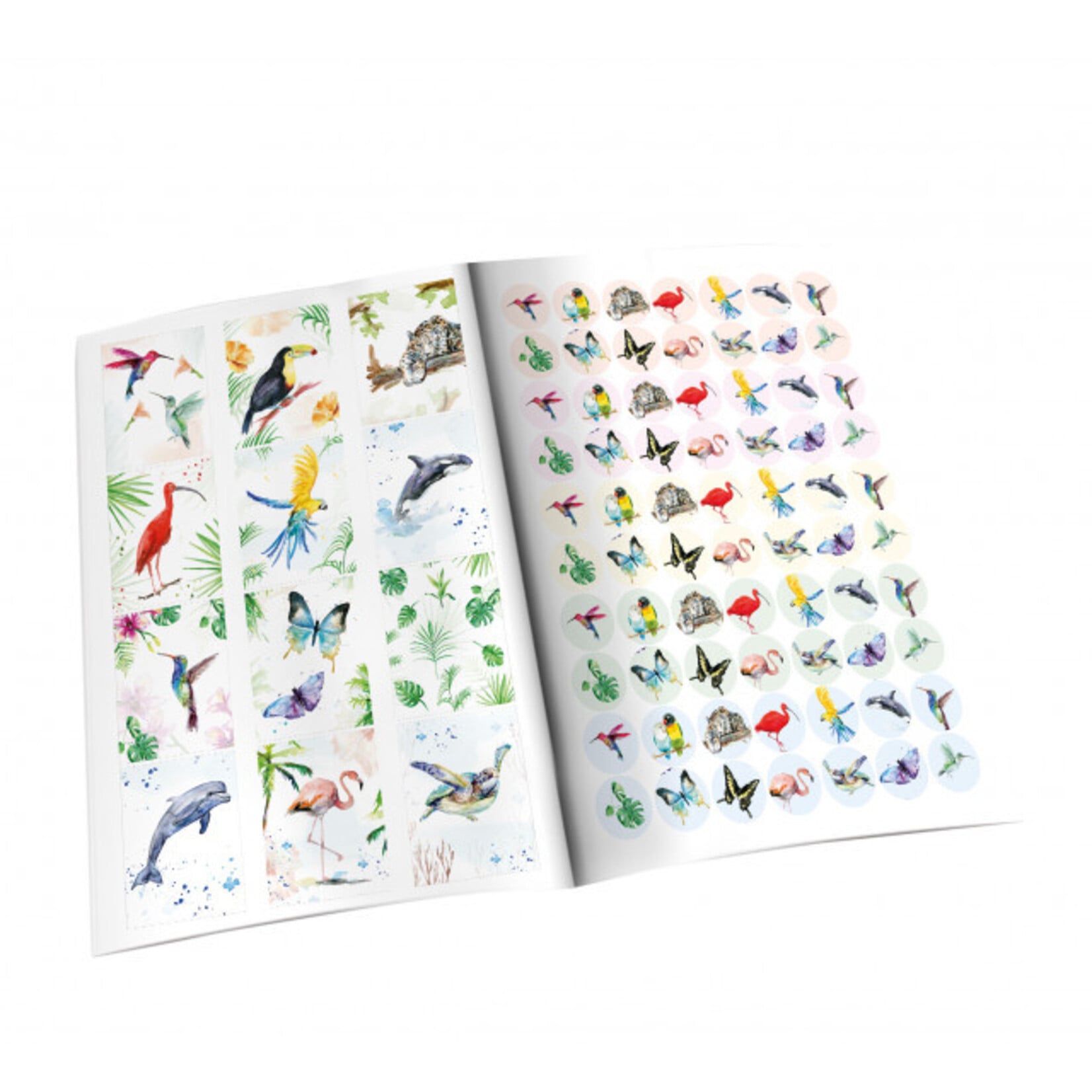 Cadeaupapier: Michelle Dujardin
