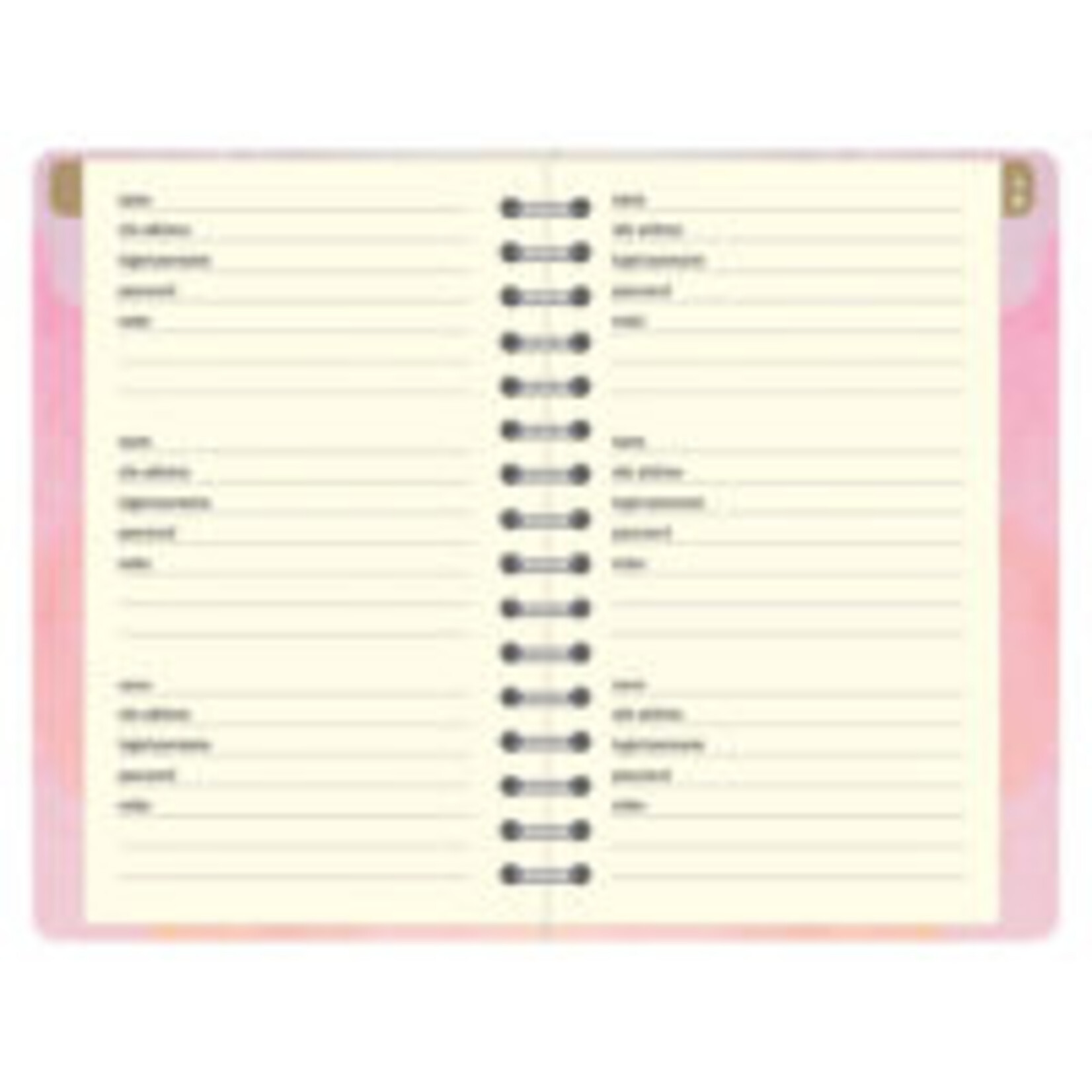 Peter Pauper Logboek Internet address & Password Peter Pauper Watercolor Sunset