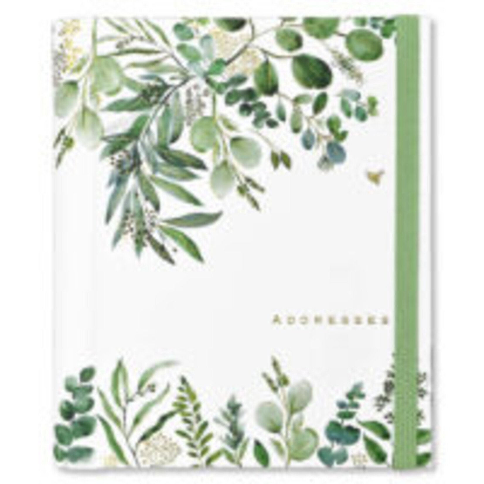 Addressbook Large  Peter Pauper Eucalyptus