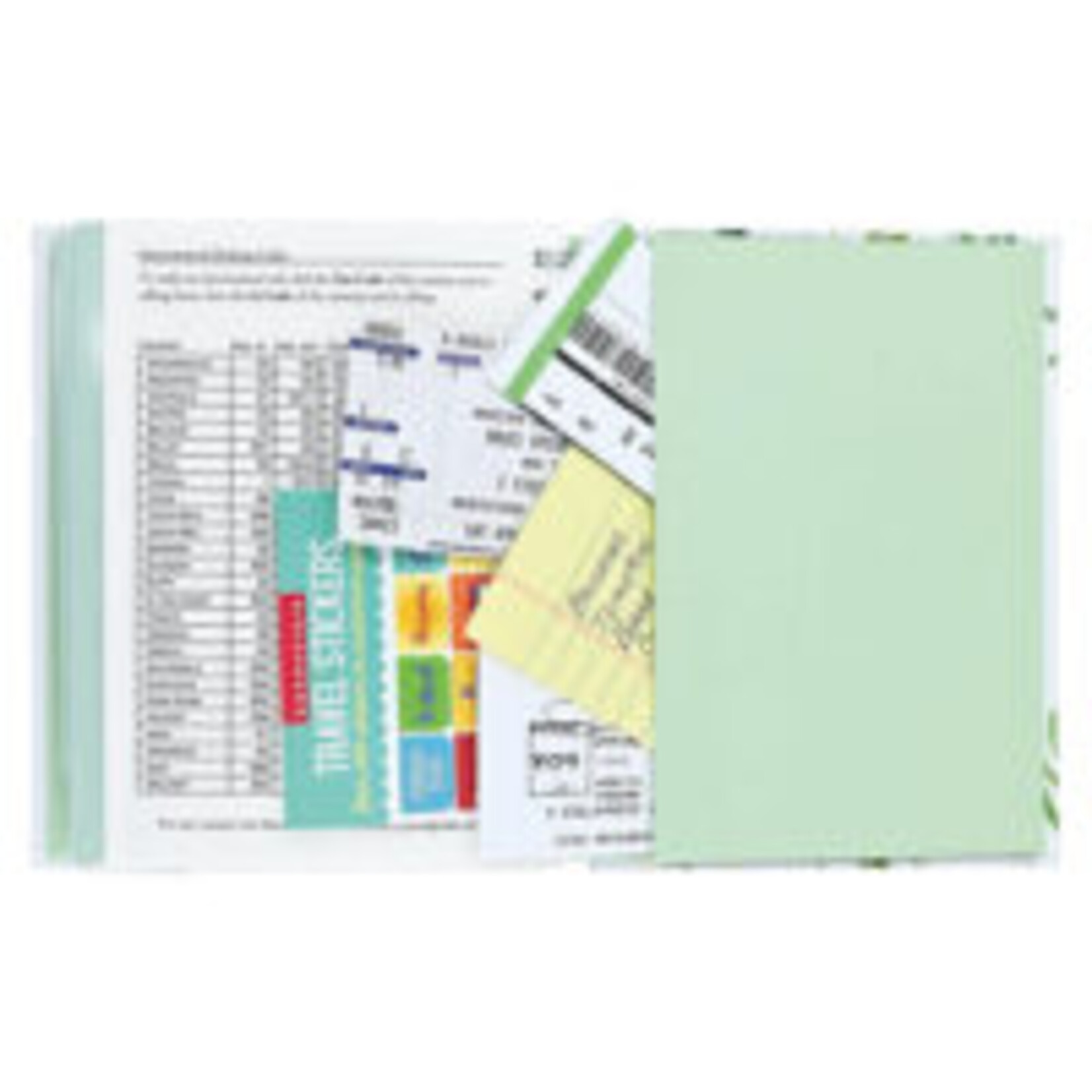 Addressbook Large  Peter Pauper Eucalyptus