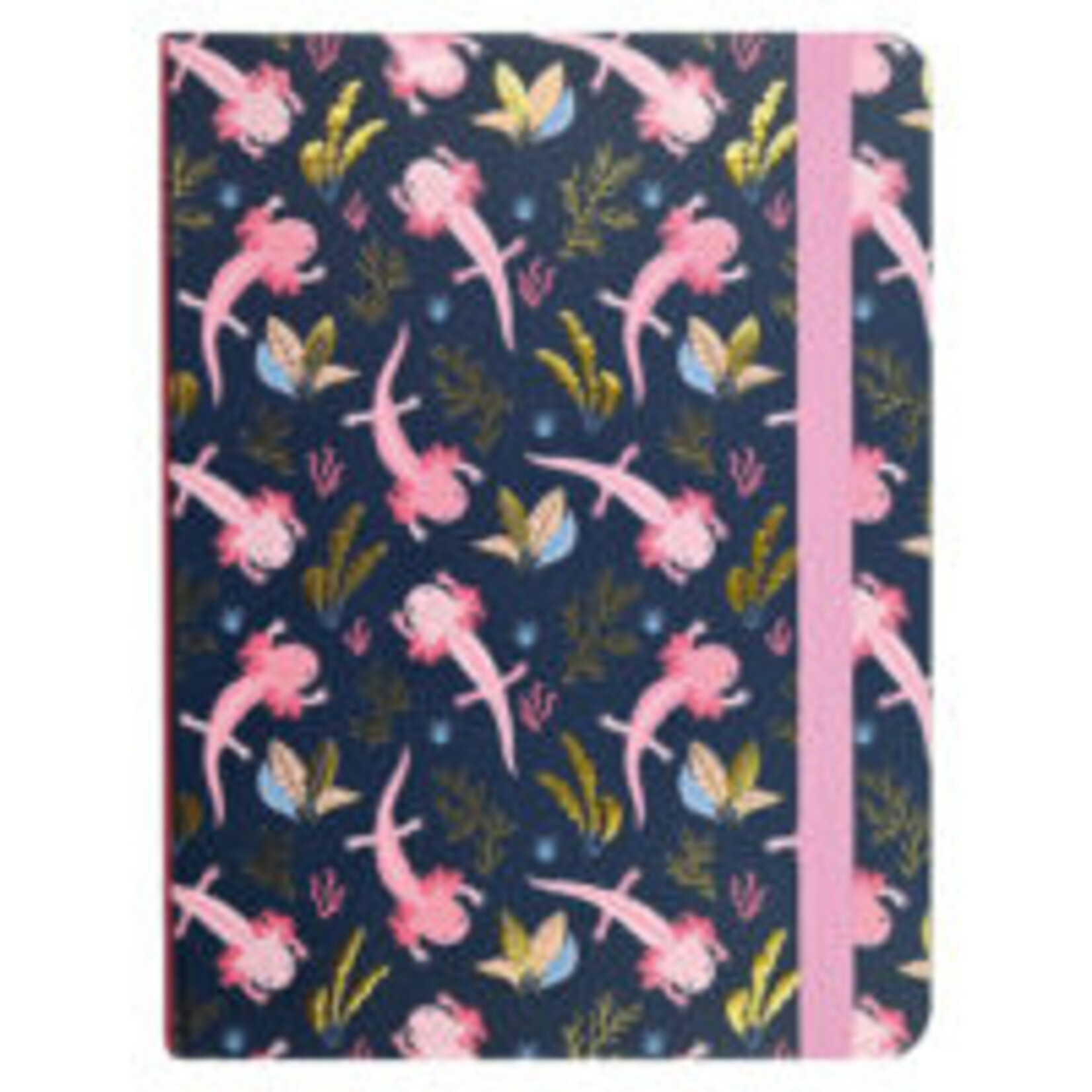 Peter Pauper Mid size Journal Peter Pauper Axolotls