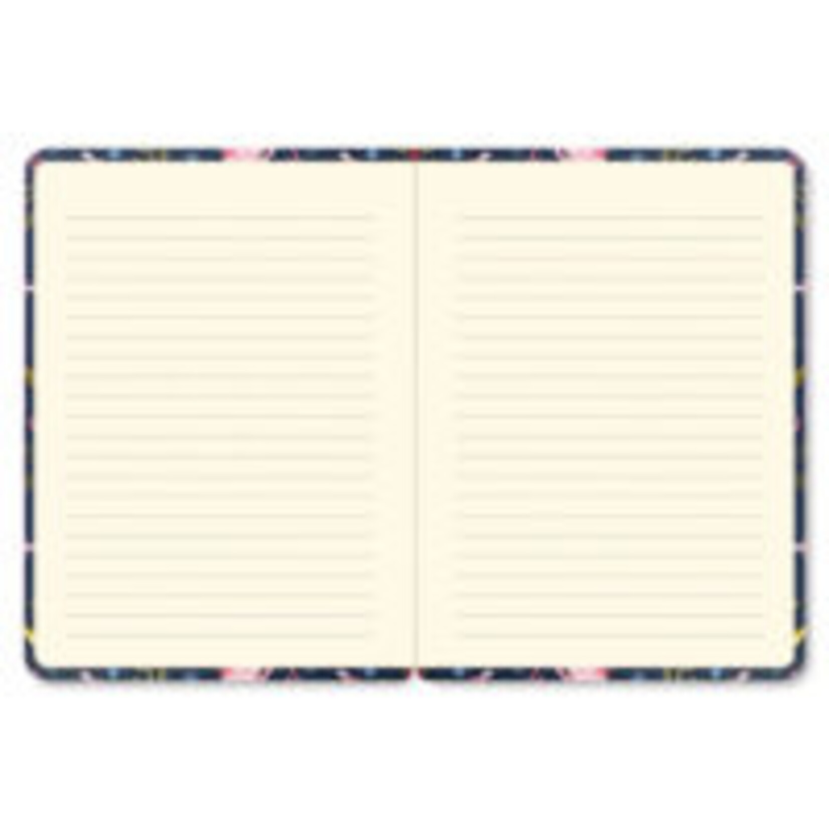 Peter Pauper Mid size Journal Peter Pauper Axolotls