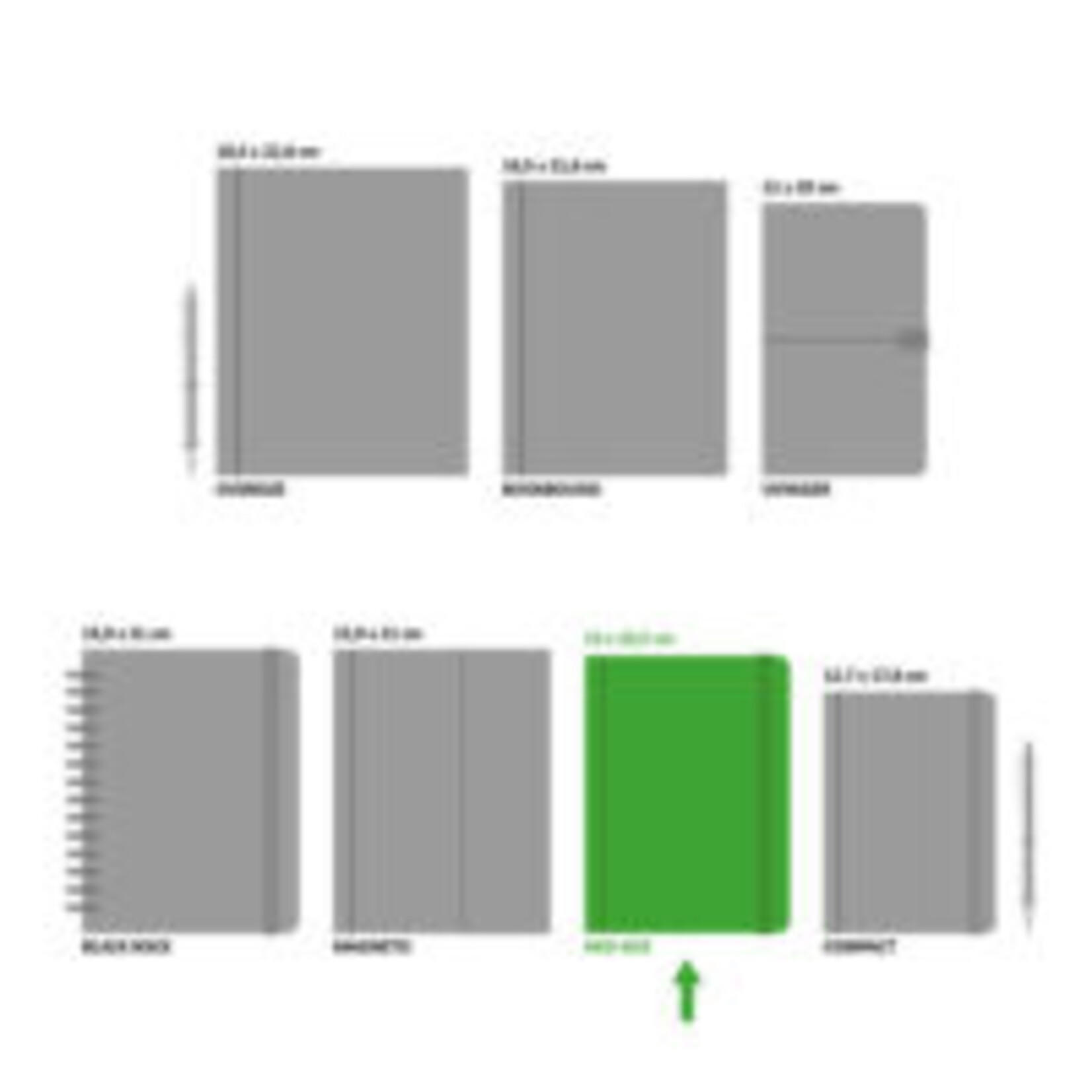 Peter Pauper Mid size Journal Peter Pauper Axolotls