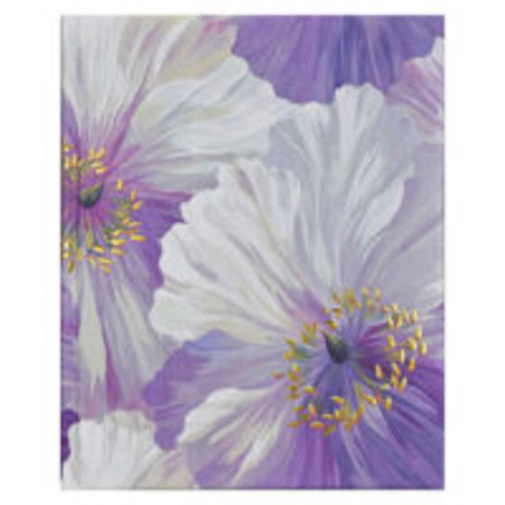 Peter Pauper Oversize Journal Peter Pauper Poppies in Bloom