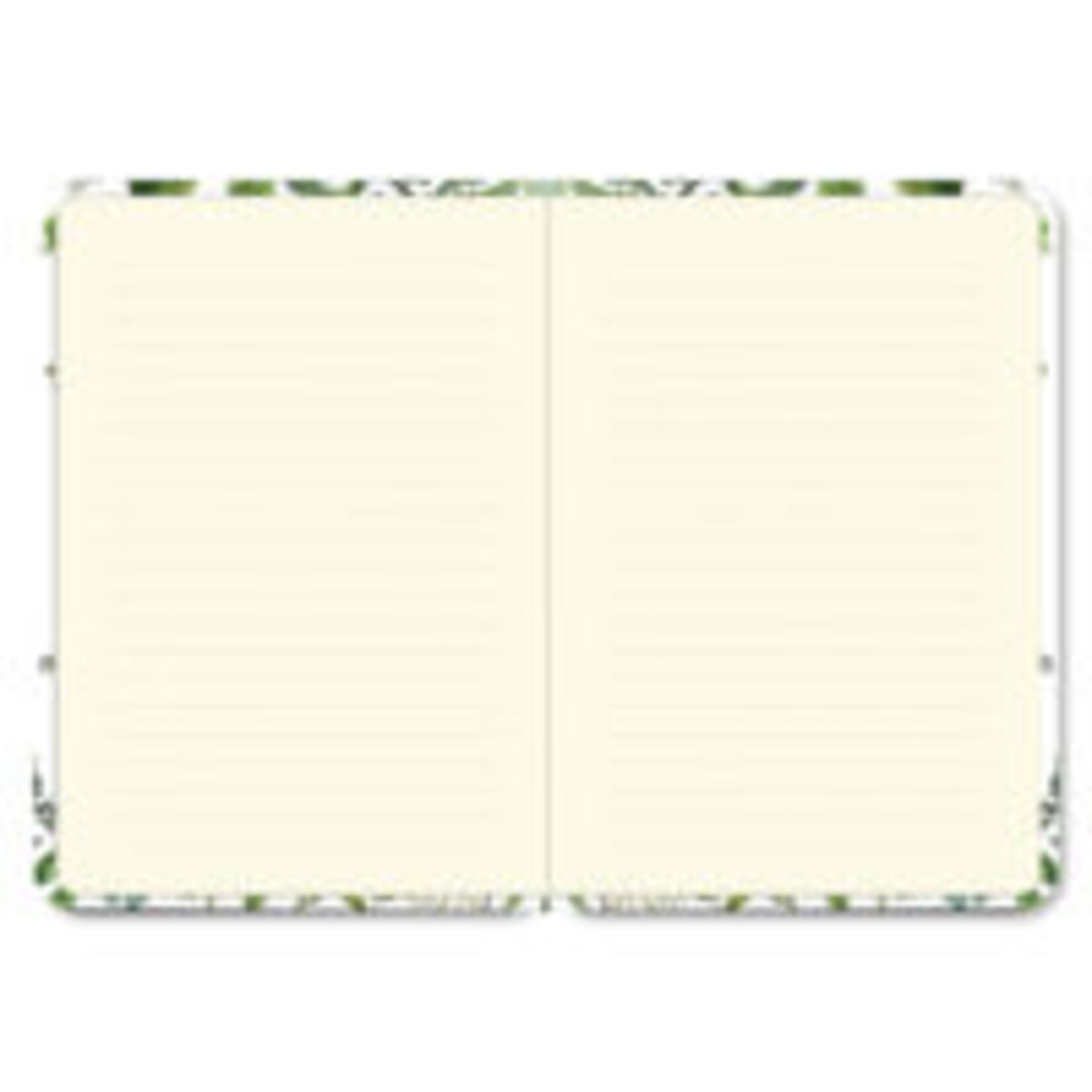 Peter Pauper Compact Journal Peter Pauper Eucalyptus