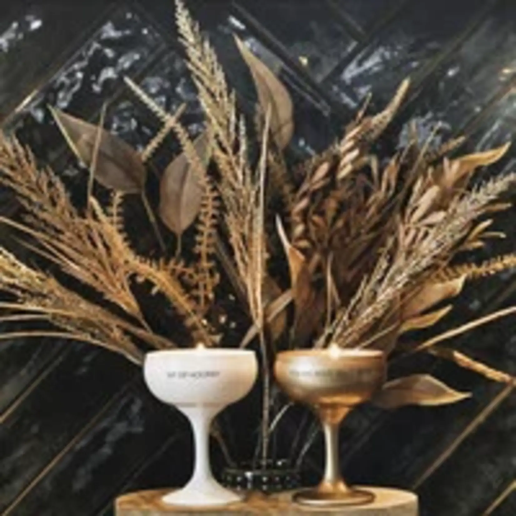 SOJAKAARS - YOU ARE GOLD. SOLID GOLD