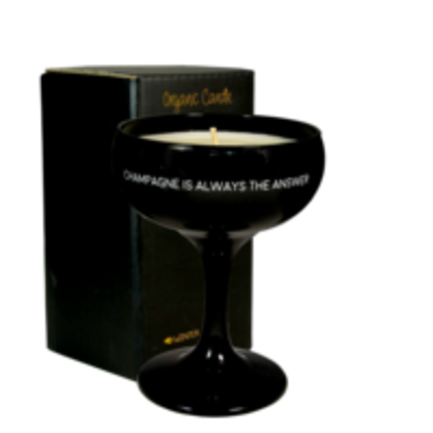 SOJAKAARS - CHAMPAGNE IS ALWAYS THE ANSWER