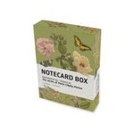 Notecard box: Maria Sibylla Merian, Rijksmuseum Amsterdam