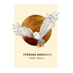 SIC EDY  HARRY POTTER 1