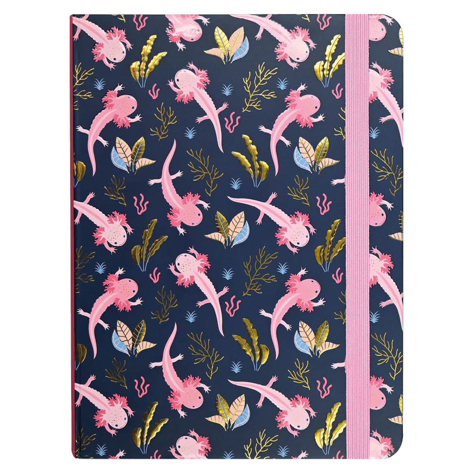 Peter Pauper Mid size Journal Peter Pauper Axolotls