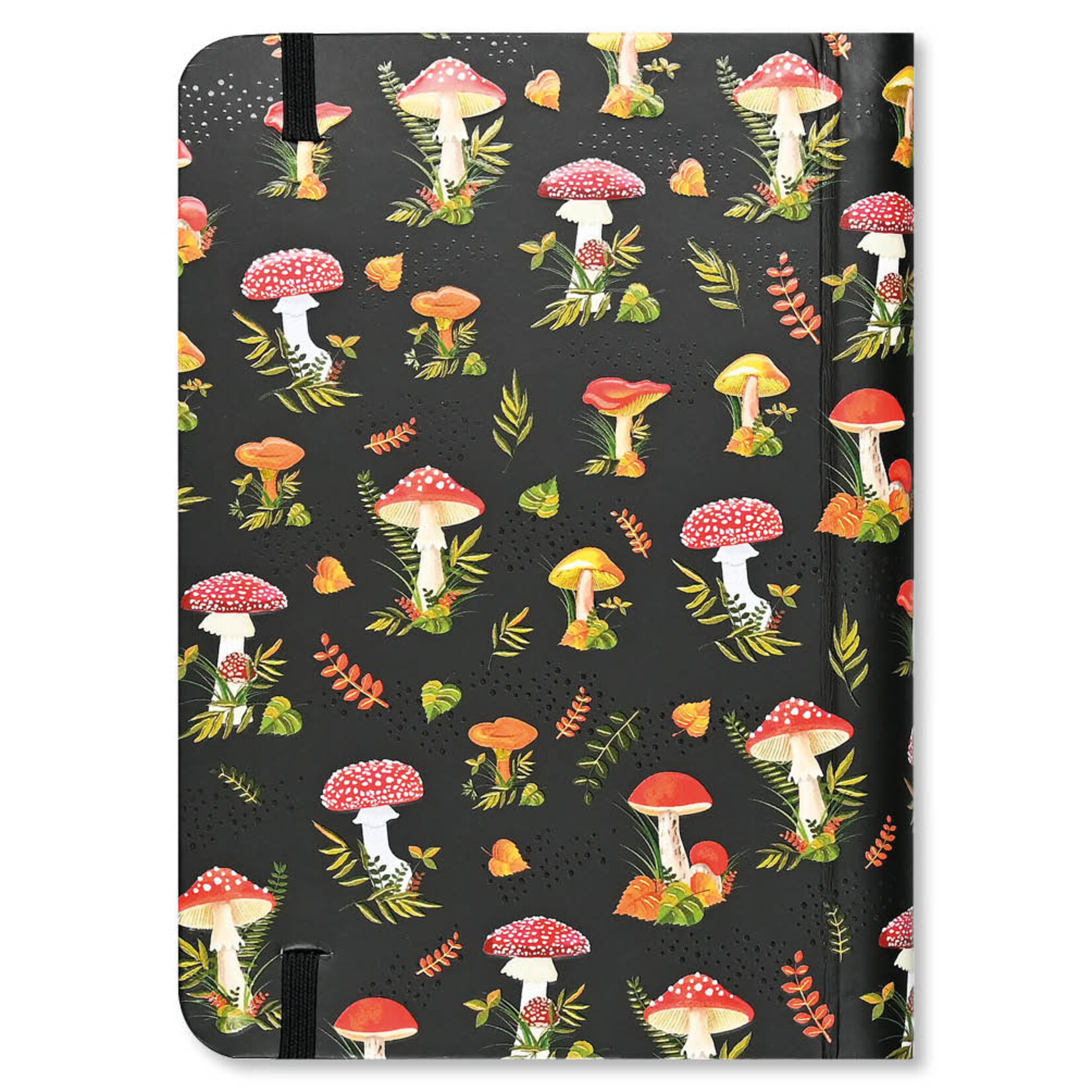 Peter Pauper Logbook Internet address & Password Peter Pauper Mushrooms