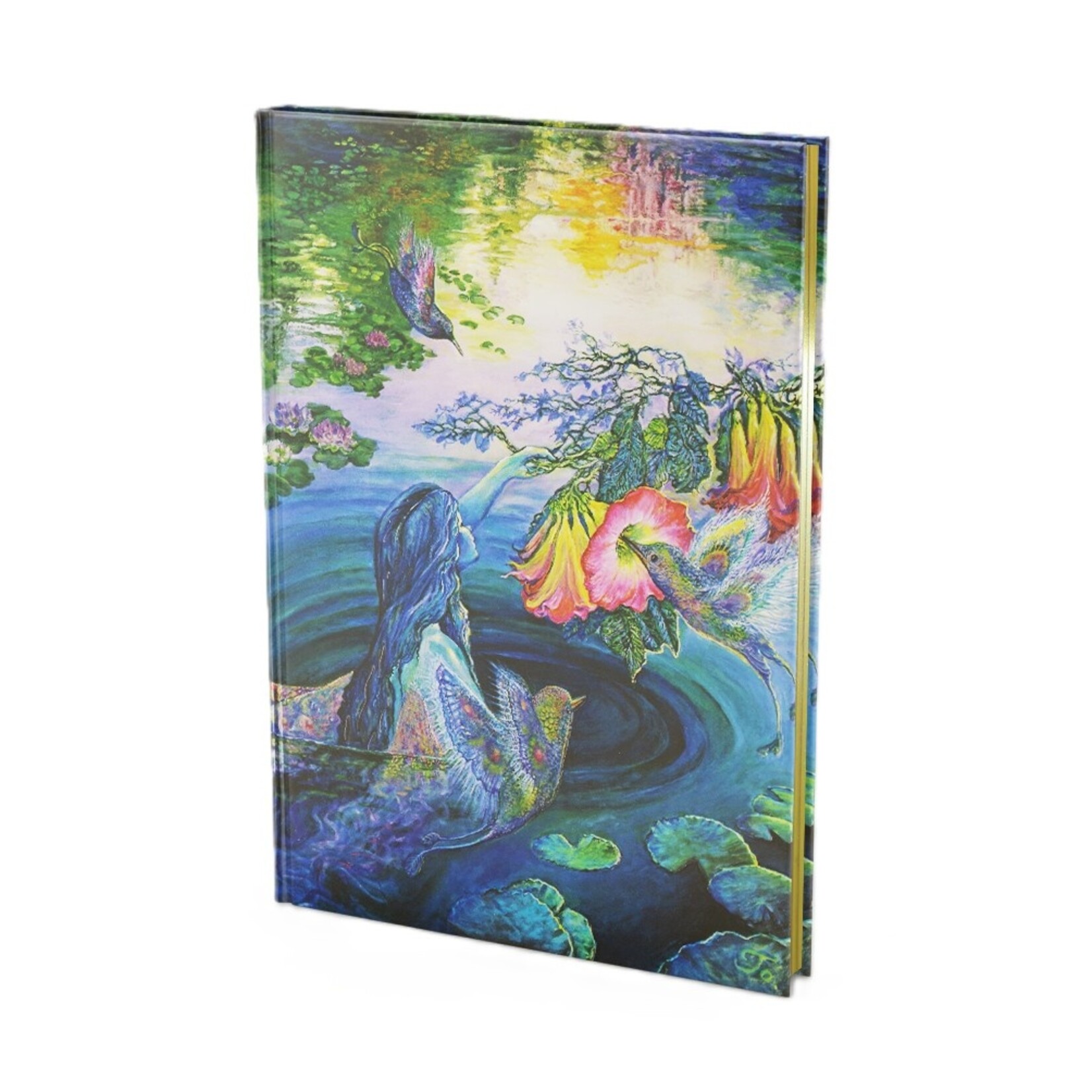 Peter Pauper Oversize Journal Peter Pauper Hummingbird Dreams