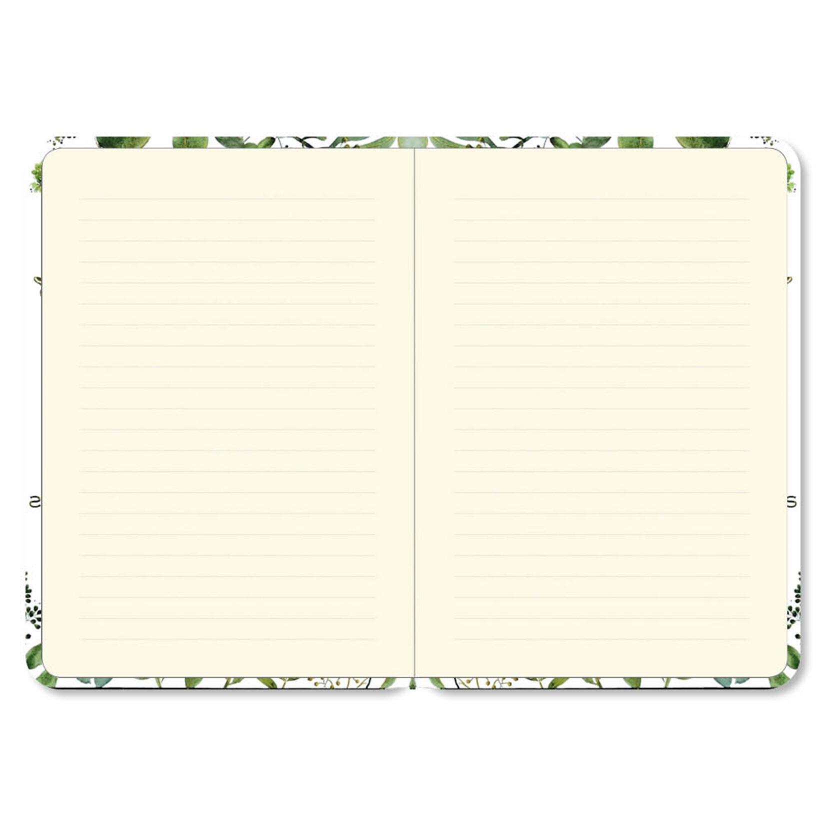 Peter Pauper Compact Journal Peter Pauper Eucalyptus