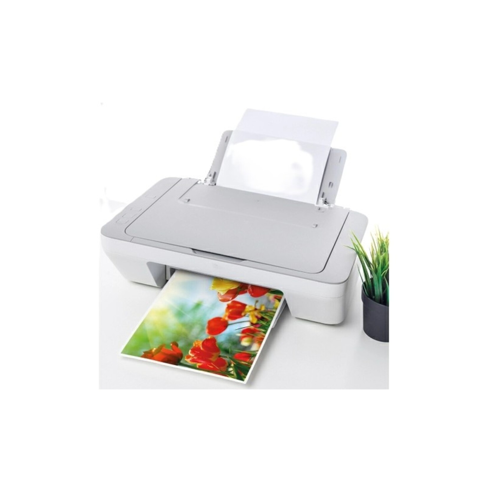 Fotopapier A4 180gr 25/ SOHO