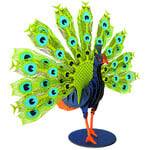 Fridolin Fridolin Jiggzle Pauw