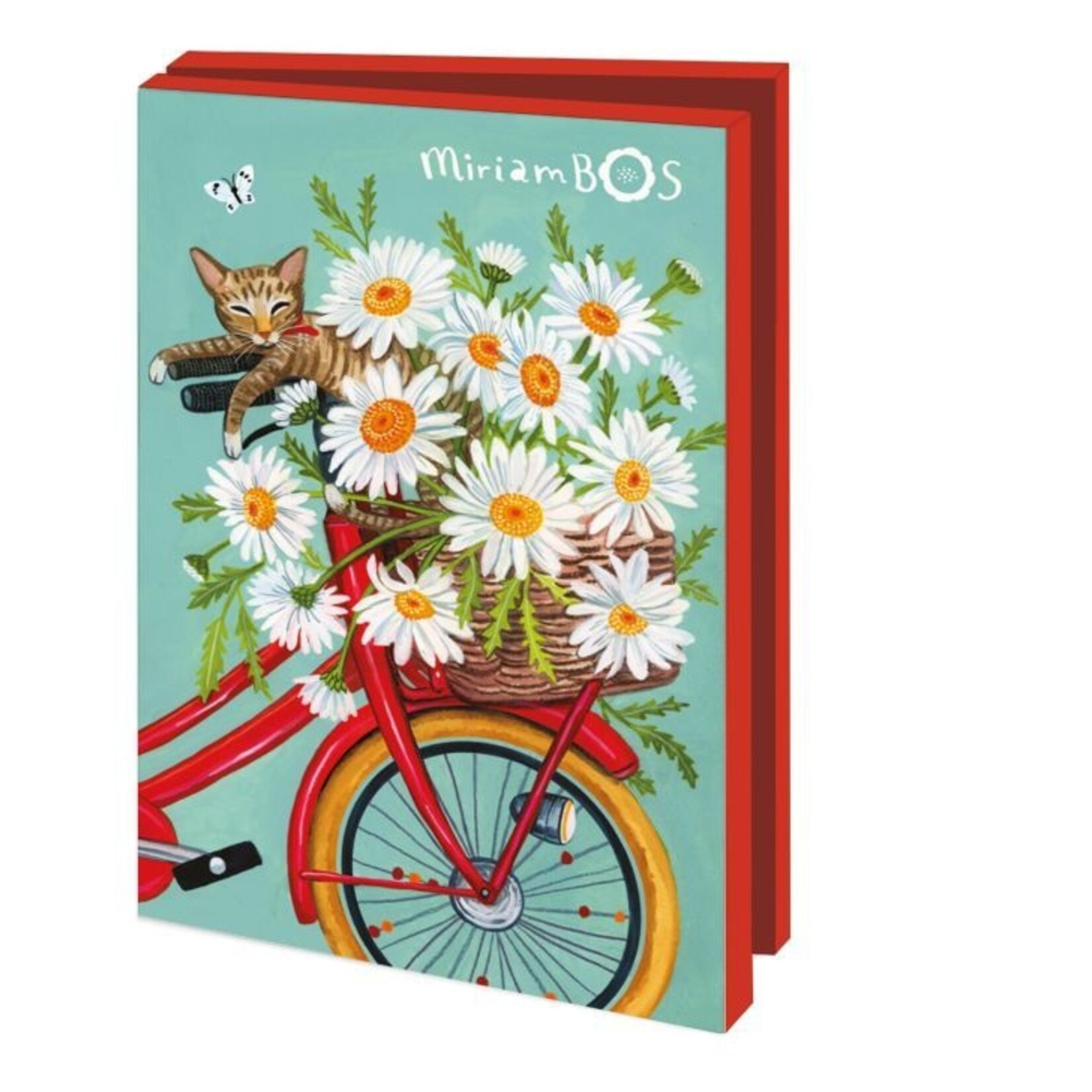 Kaartenmapje met env, klein: Special delivery, Miriam Bos