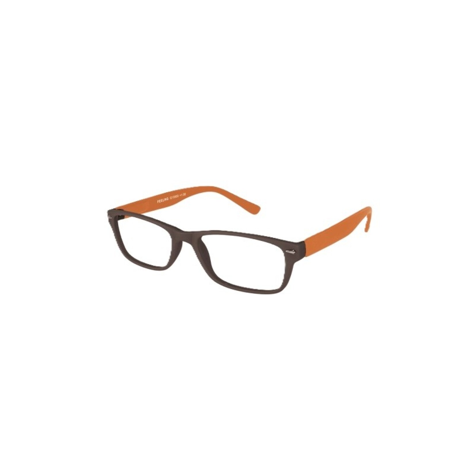 Leesbril G15700 Feeling br/or+3.0