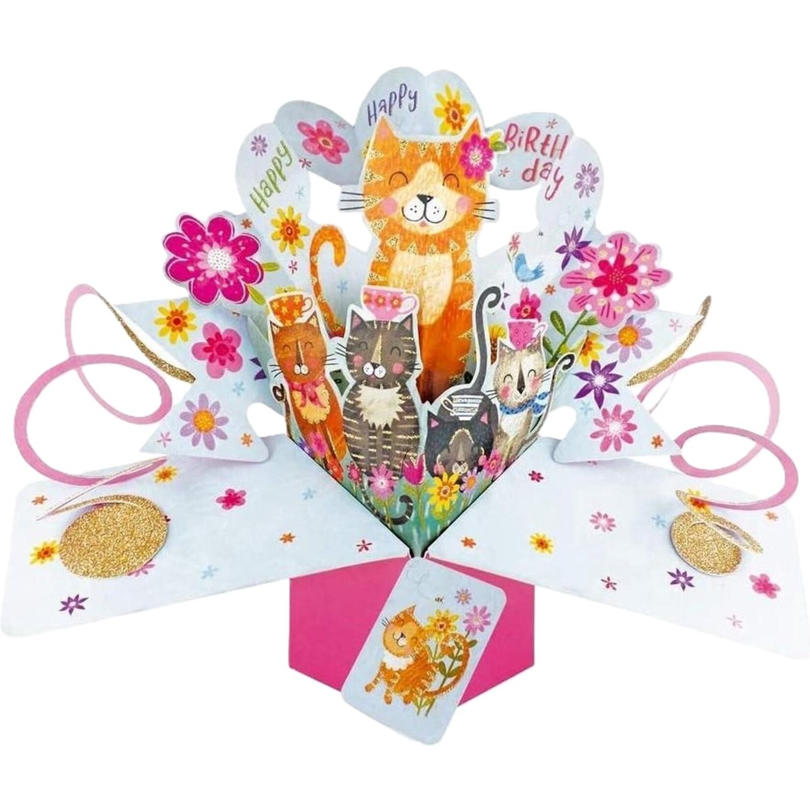 HAPPY BIRTHDAY - CATS