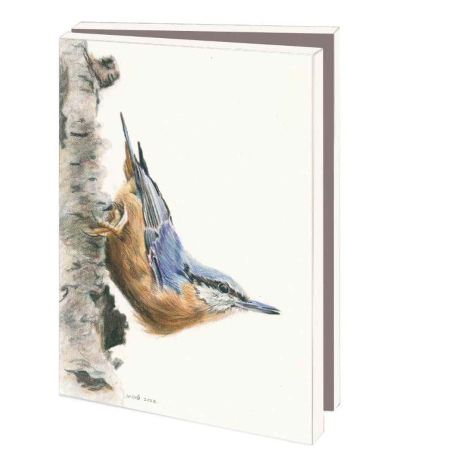 Kaartenmapje met env, klein: Birds, Nicole Boerema
