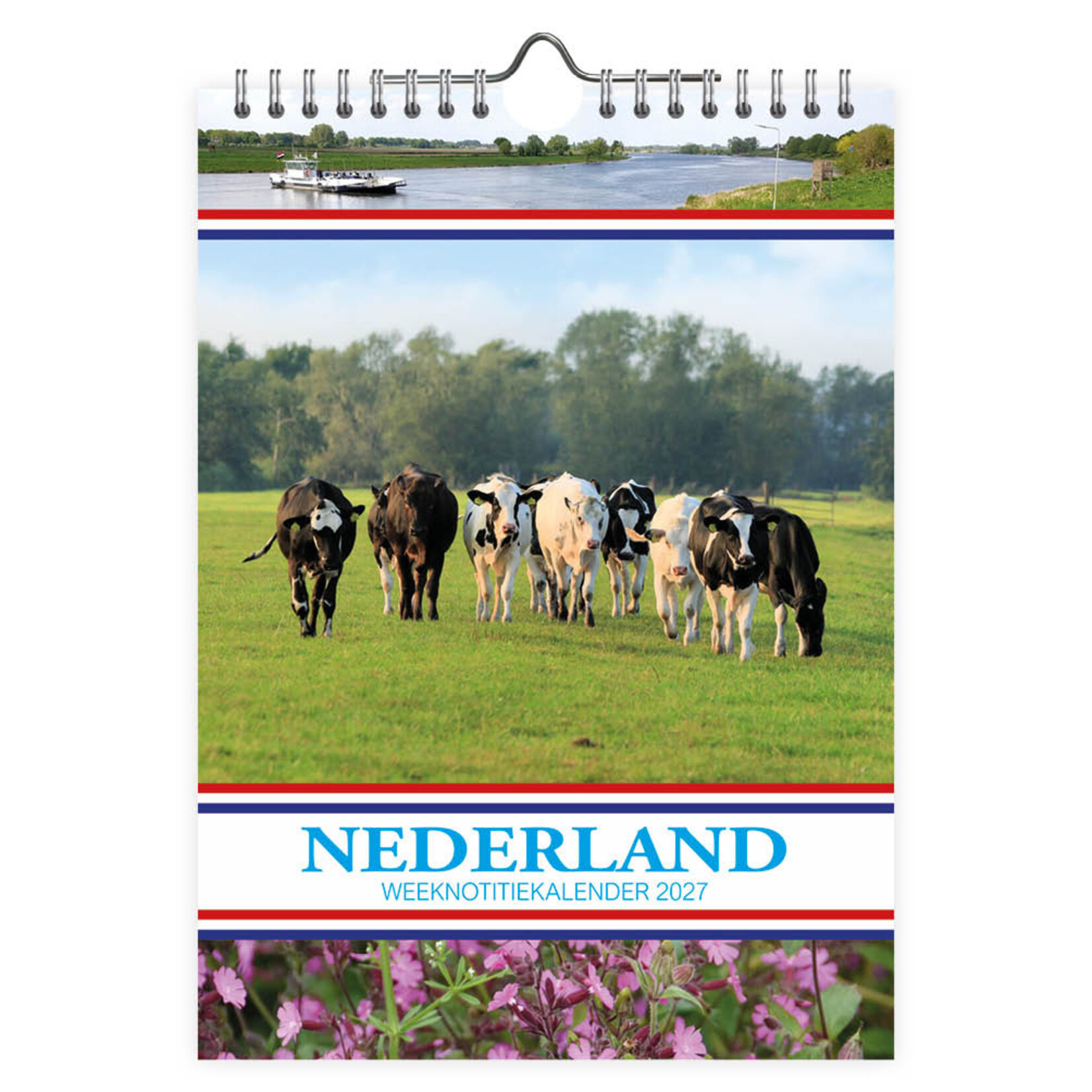 Nederland WEEKnotitiekalender Weide met 40+5 Koeien 2027