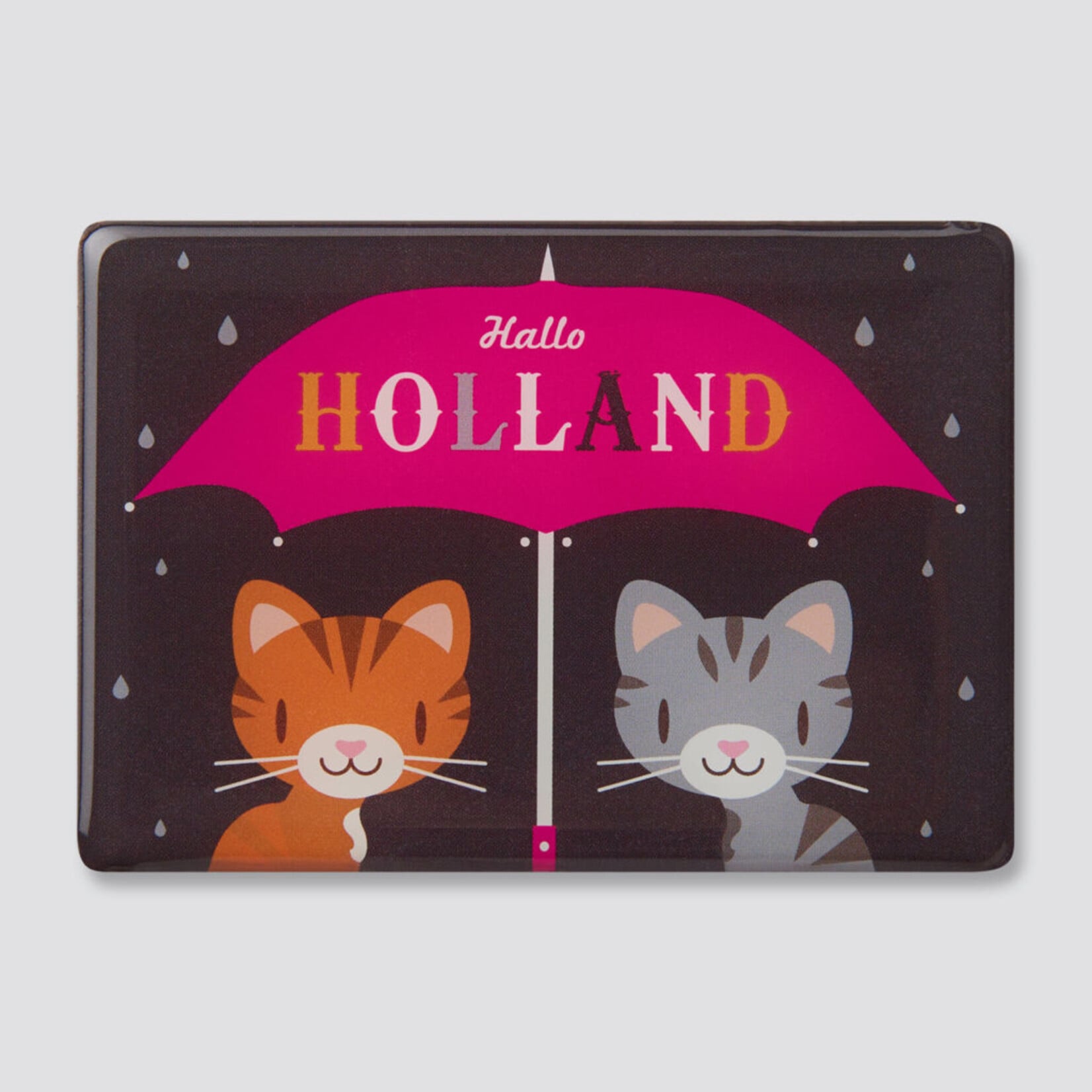 Koelkast magneet Holland Ramin Cat