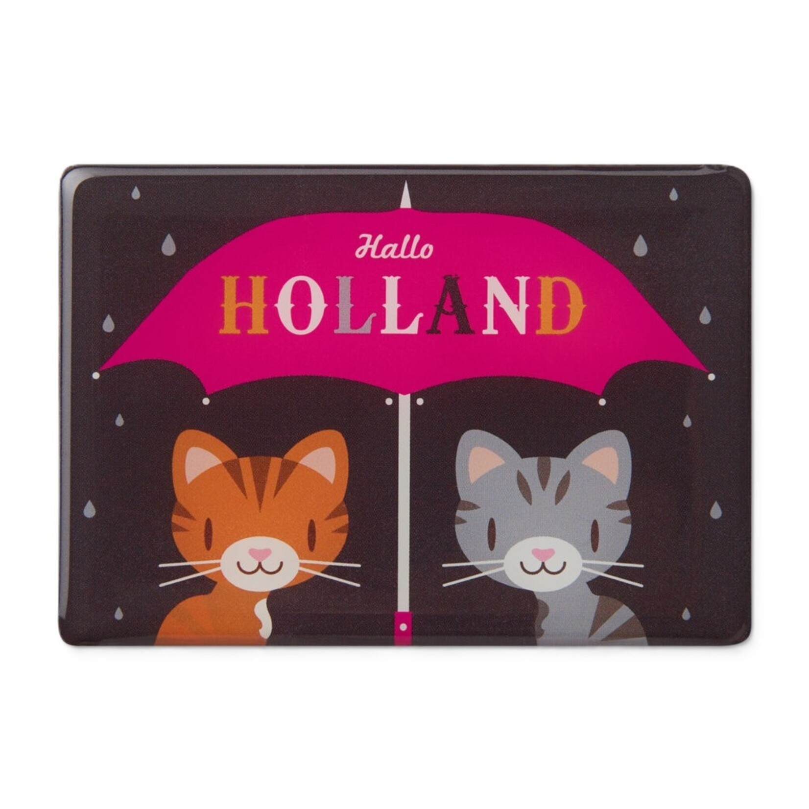 Koelkast magneet Holland Ramin Cat