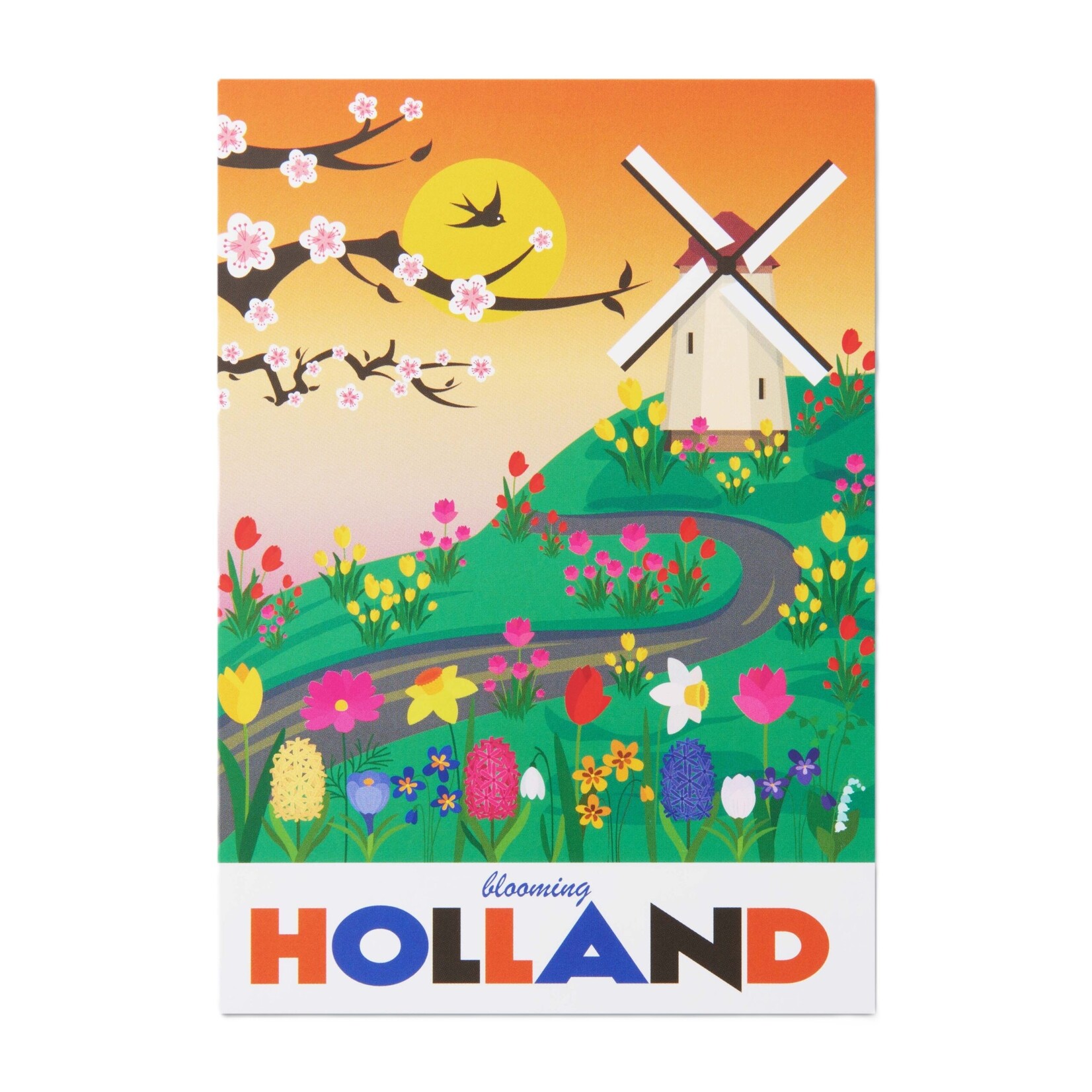 A6 postcard Holland flower garden Keukenhof