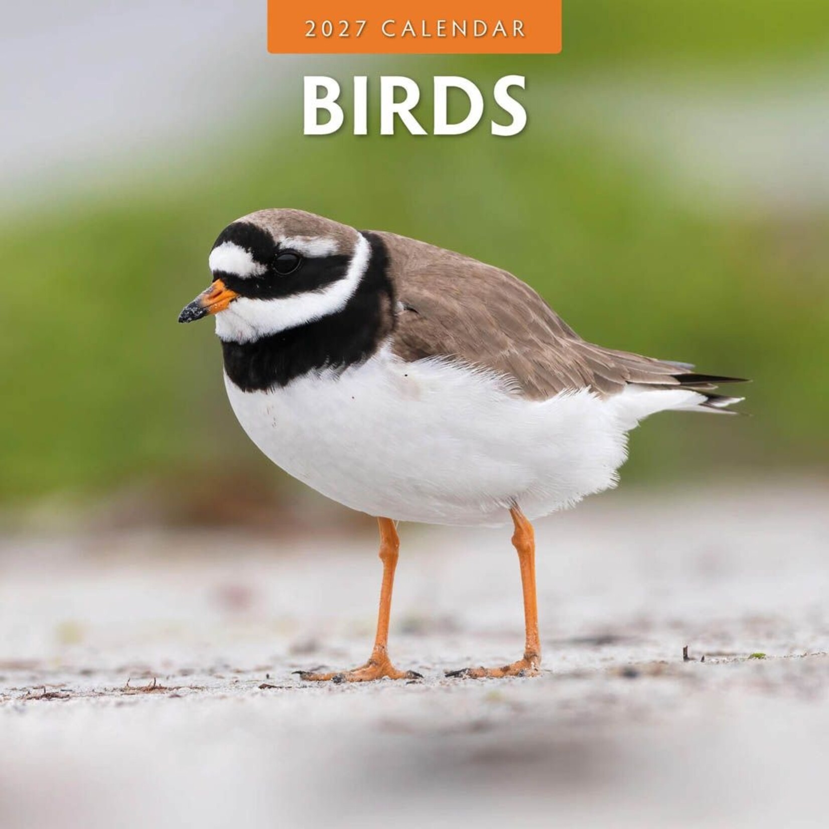 Red Robin Wall Kalender 2027 - Birds