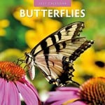 Red Robin Wall Kalender 2027 - Butterflies