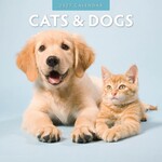 Red Robin Wall Kalender 2027 - Cats & Dogs