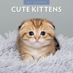 Red Robin Wall Kalender 2027 - Cute Kittens