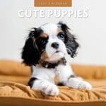 Red Robin Wall Kalender 2027 - Cute Puppies