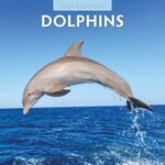 Red Robin Wall Kalender 2027 - Dolphins