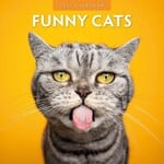 Red Robin Wall Kalender 2027 - Funny Cats
