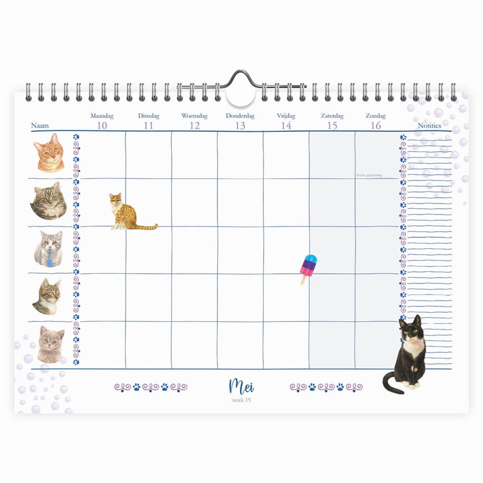 Franciens katten familieWEEKnotitiekalender oblong 2027