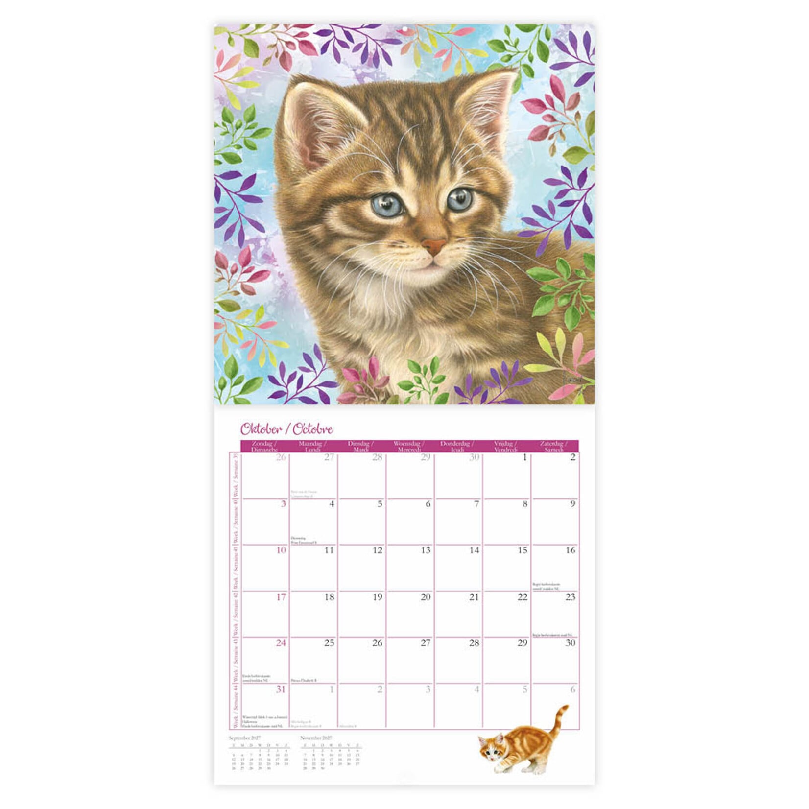 Franciens katten kalender Plenty gifts 271047 2027