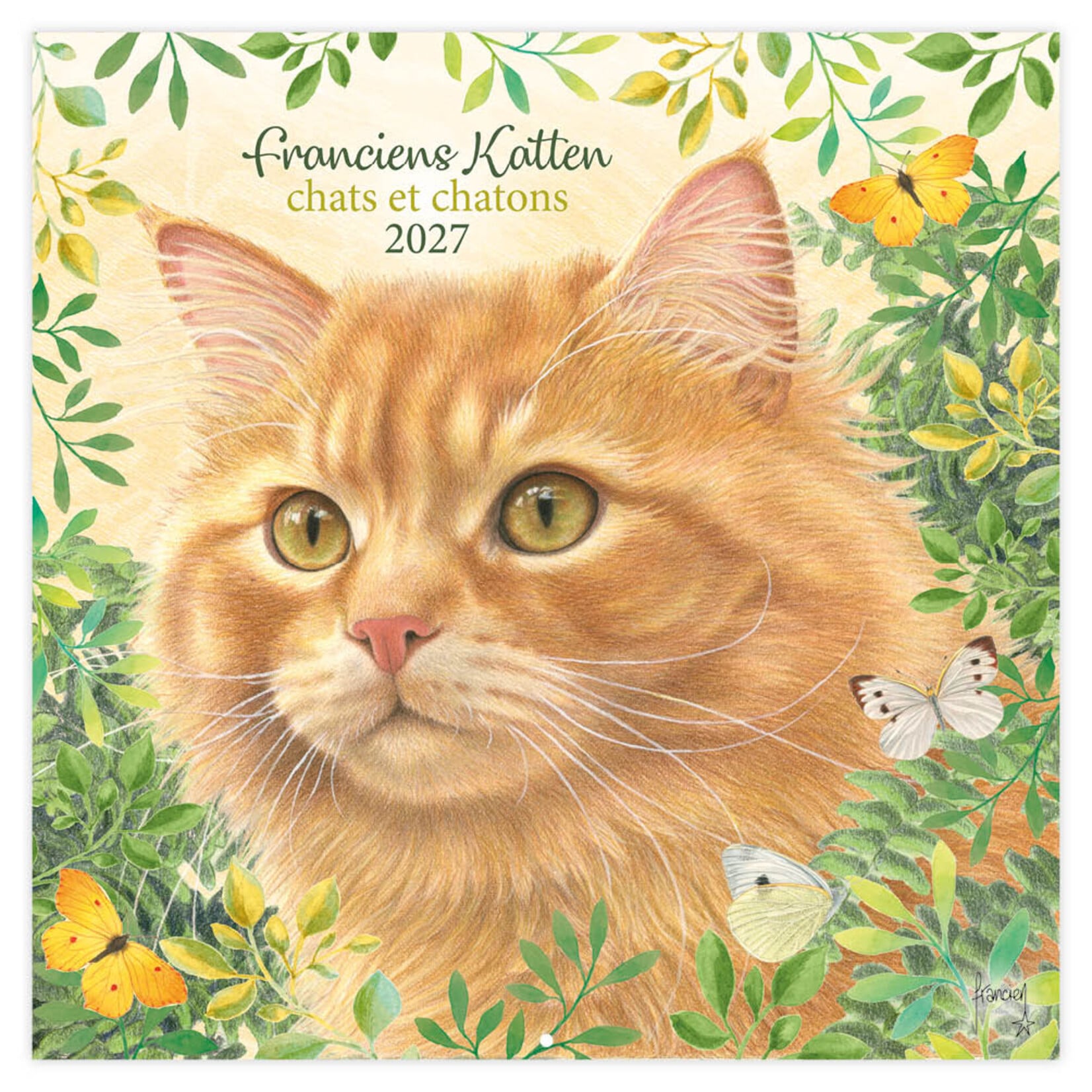 Franciens katten kalender Plenty gifts 271047 2027