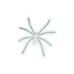 Glow in the dark spinnen